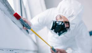 Best Residential Pest Control  in Twinsburg, OH